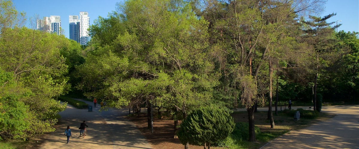 Seoul Forest which includes a city and a park