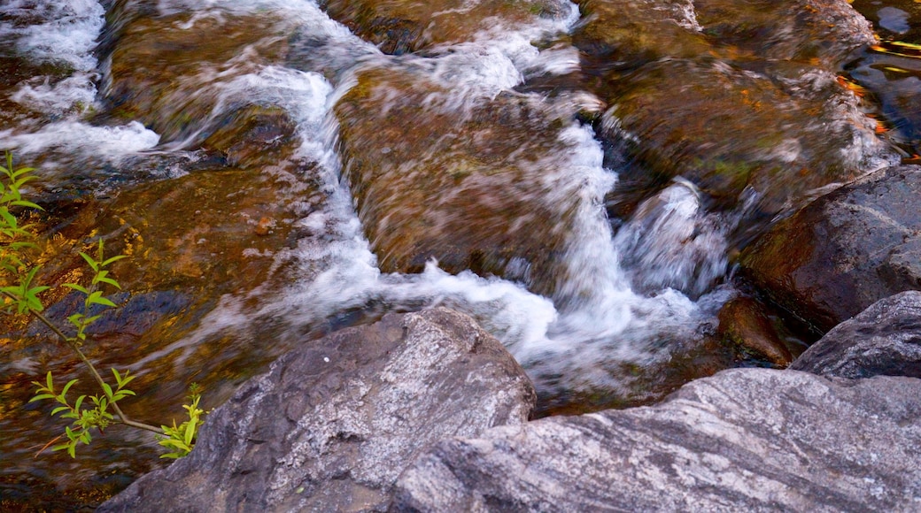 Cheonggyecheon Stream showing a river or creek