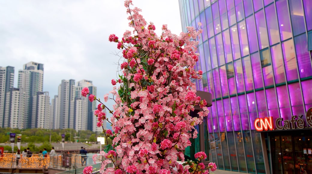 Seocho-gu presenterar blommor, en stad och en skyskrapa