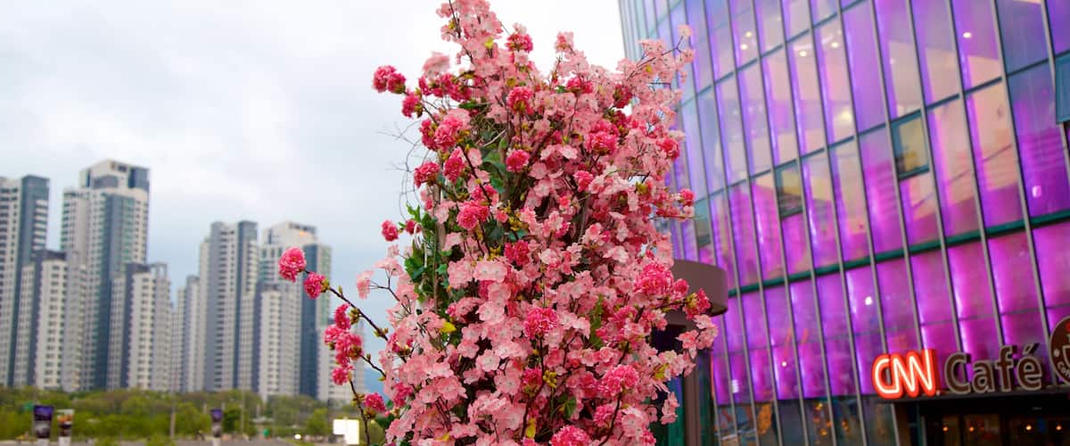Seocho-gu showing a high-rise building, a city and flowers