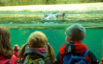 柏林必去景點 柏林柏林動物園觀光旅遊景點介紹 Expedia Com Tw