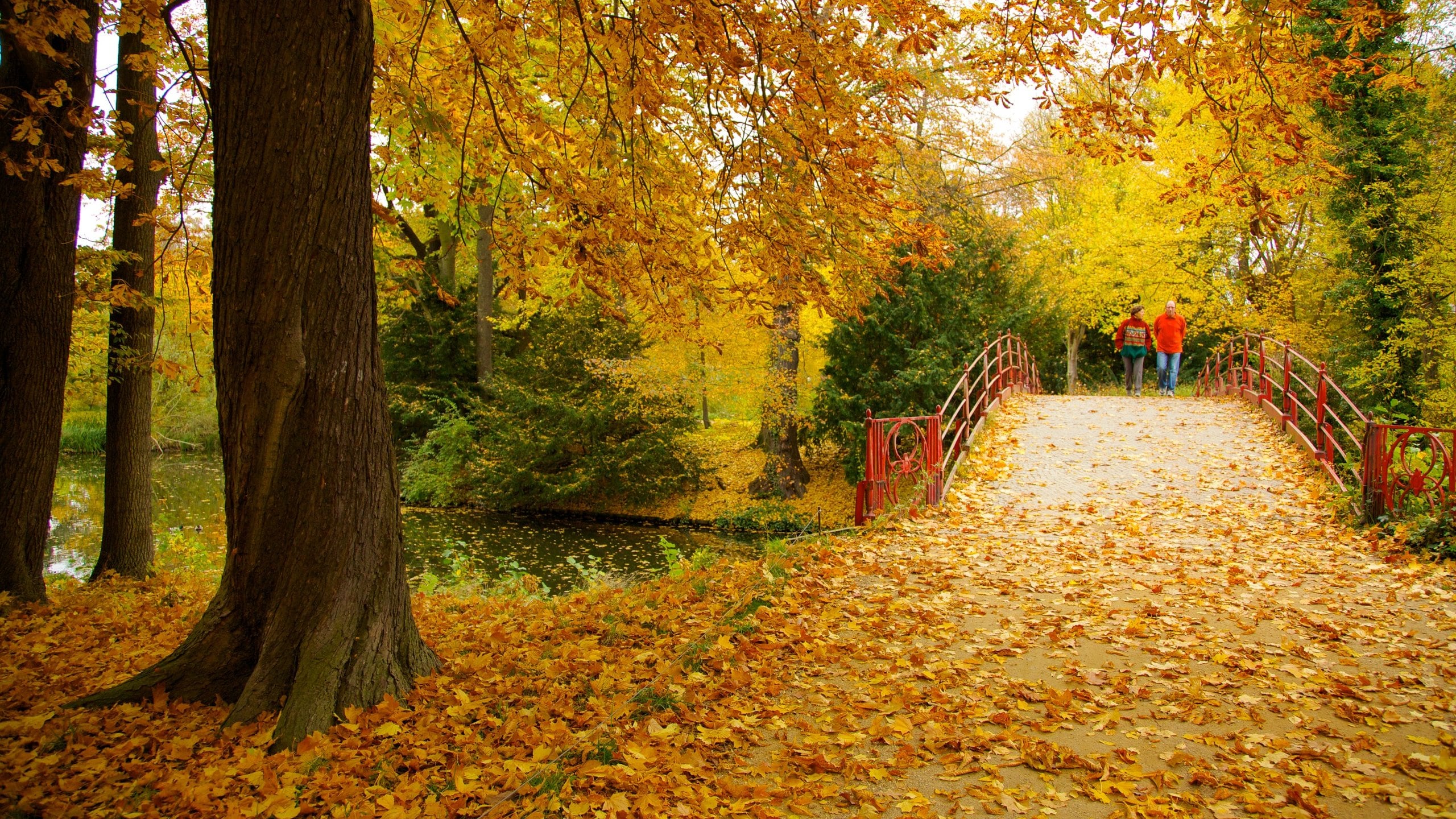 Scenic view of Schloss Charlottenburg surrounded by vibrant autumn foliage in Berlin, Brandenburg Region, Germany