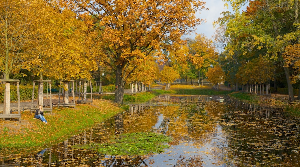 Tiergarten og byder på en have, efterårsfarver og en dam