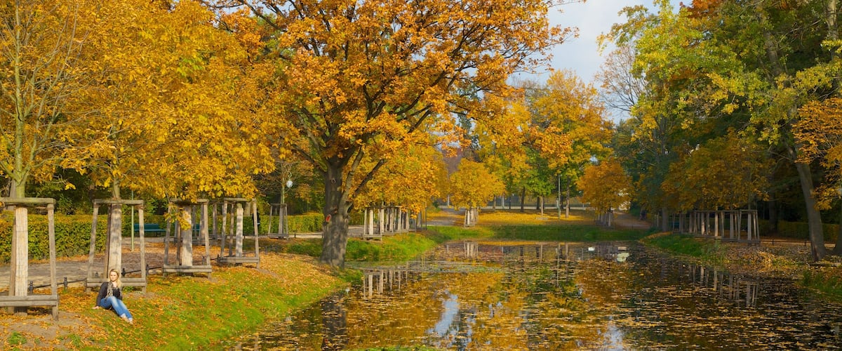 Tiergarten das einen Teich, Park und Waldmotive