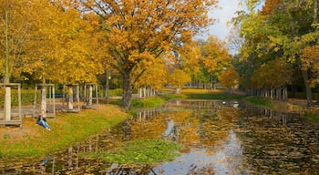 Tiergarten Soviet War Memorial showing forest scenes, autumn leaves and a pond