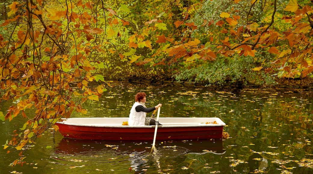 Tiergarten mit einem See oder Wasserstelle, Kajak- oder Kanufahren und Herbstblätter