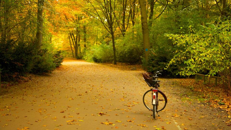 Tiergarten Soviet War Memorial featuring a park, cycling and autumn leaves