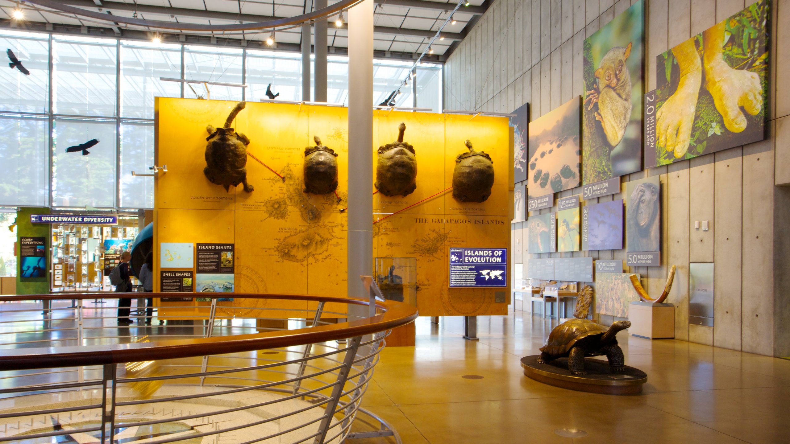 California Academy Of Sciences In Golden Gate Expedia co th California Academy Of Sciences In Golden Gate Expedia co th