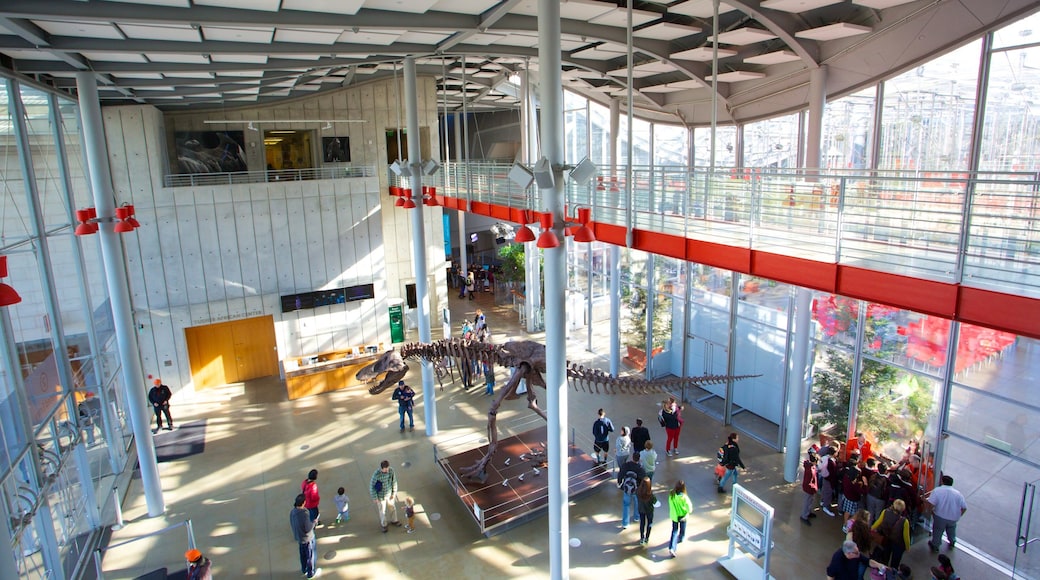 California Academy of Sciences featuring interior views as well as a large group of people