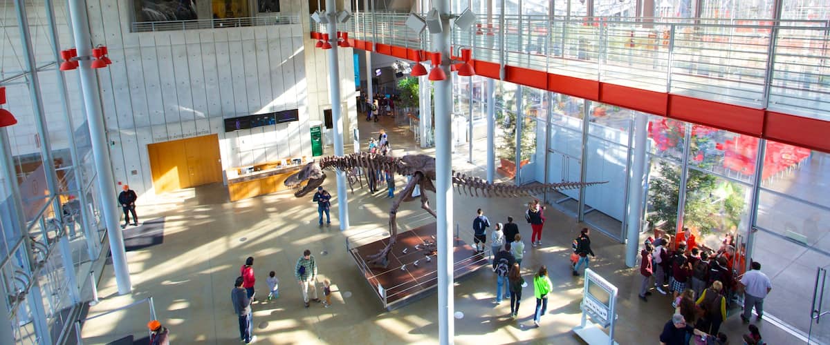 加州科學館 设有 內部景觀 以及 大群人