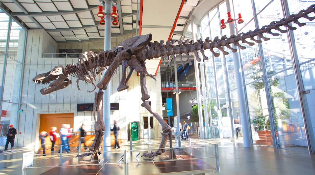 California Academy of Sciences
