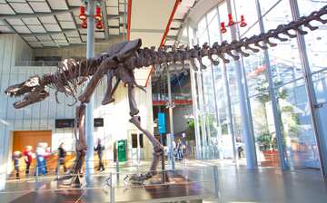 Visit California Academy of Sciences in Golden Gate | Expedia