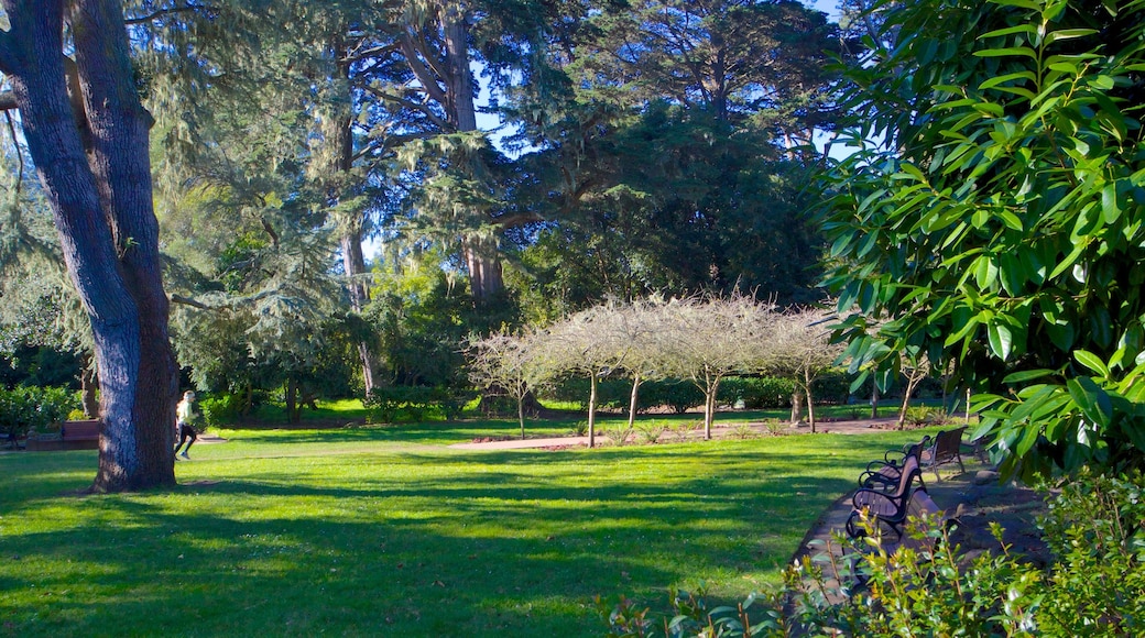 Golden Gate Park som inkluderar landskap och en park