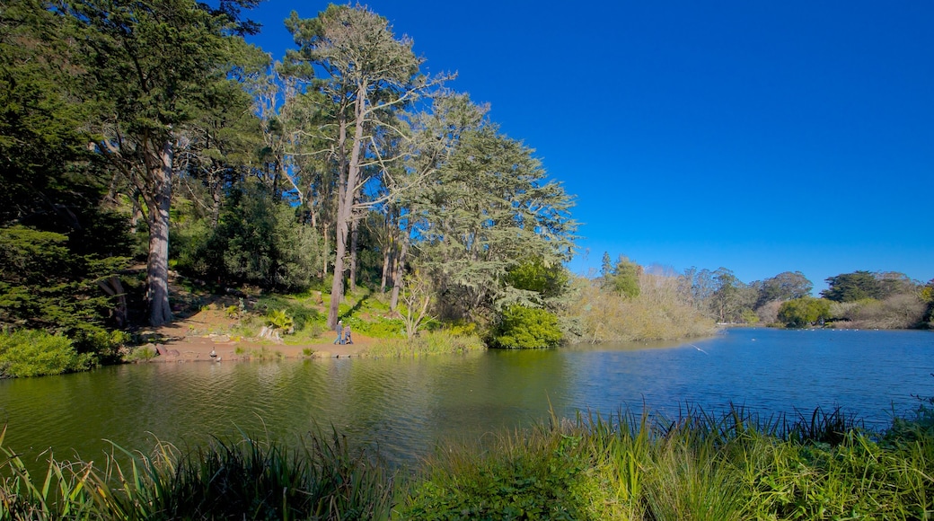 Golden Gate Park showing forests, landscape views and a lake or waterhole