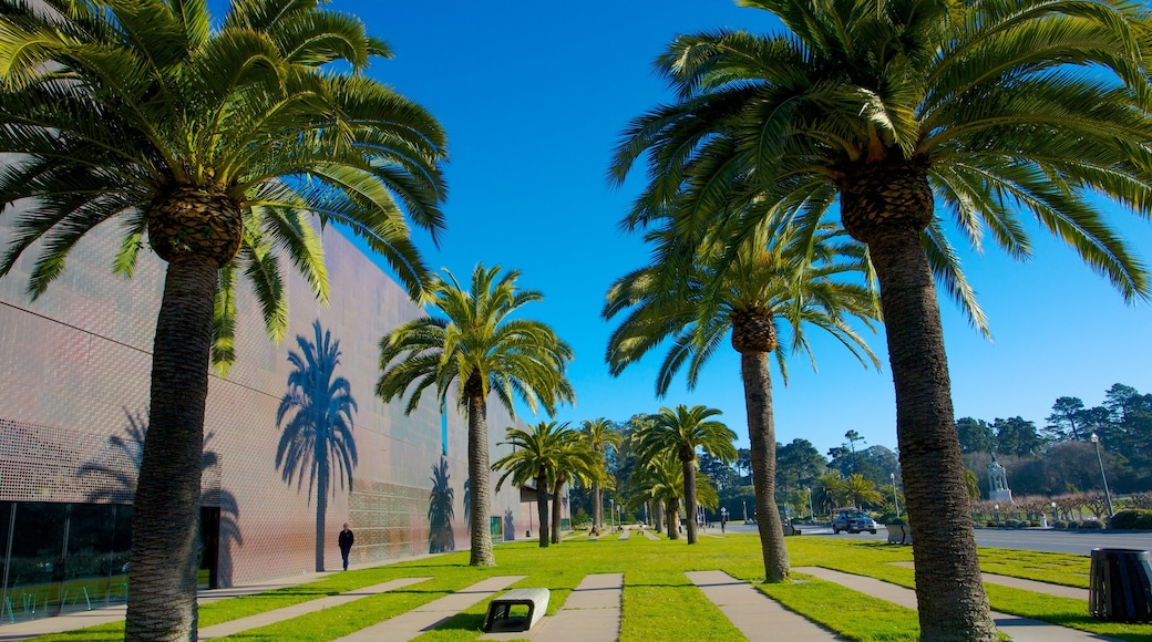 De Young Museum showing a garden and landscape views