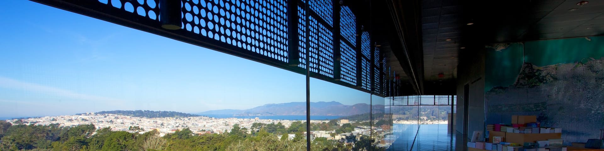 Museo De Young ofreciendo vistas interiores