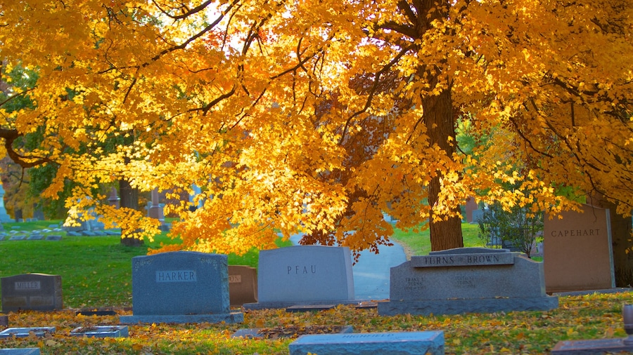 Indianapolis featuring autumn leaves and a cemetery