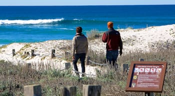 Playa Estatal Asilomar ofreciendo escenas tropicales, una playa de arena y señalización