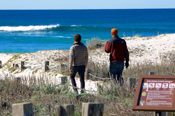 Asilomar State Beach das einen Wandern oder Spazieren, Beschilderung und tropische Szenerien