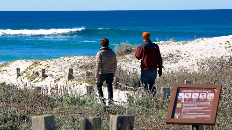 Playa Estatal Asilomar ofreciendo escenas tropicales, una playa de arena y señalización