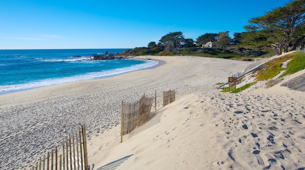 visitez-monterey-le-meilleur-de-monterey-californie-pour-2022-expedia