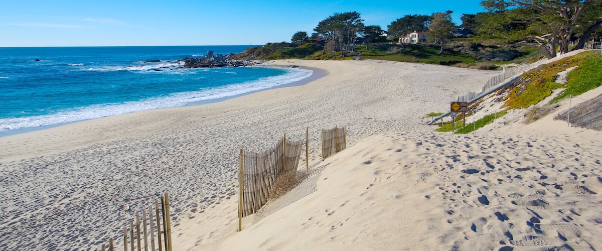 Carmel Beach which includes general coastal views, landscape views and a sandy beach