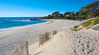 Monterey which includes general coastal views, landscape views and a sandy beach