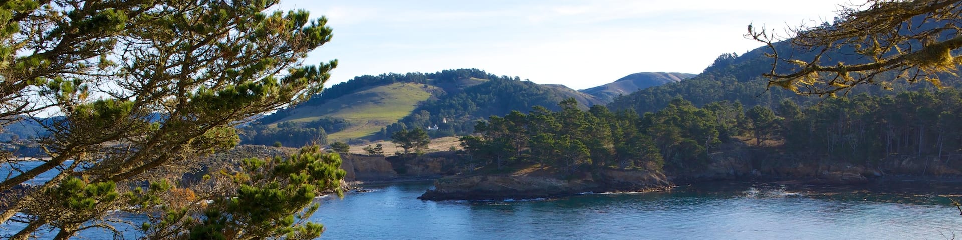 Point Lobos State Reserve which includes landscape views, mountains and forest scenes