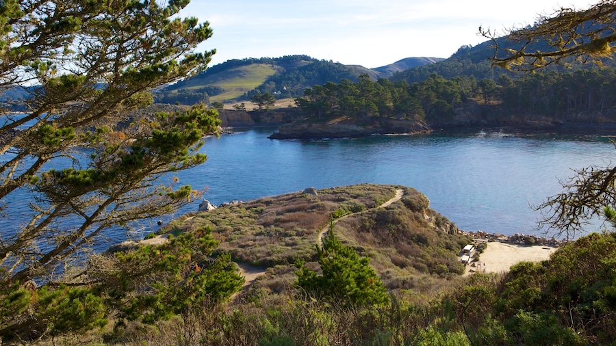 Point Lobos State Reserve que incluye un lago o abrevadero, vistas de paisajes y escenas forestales