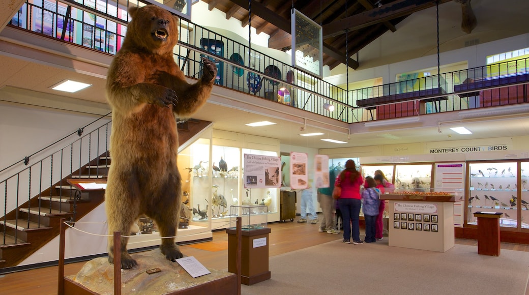 Pacific Grove Museum of Natural History mostrando vistas interiores
