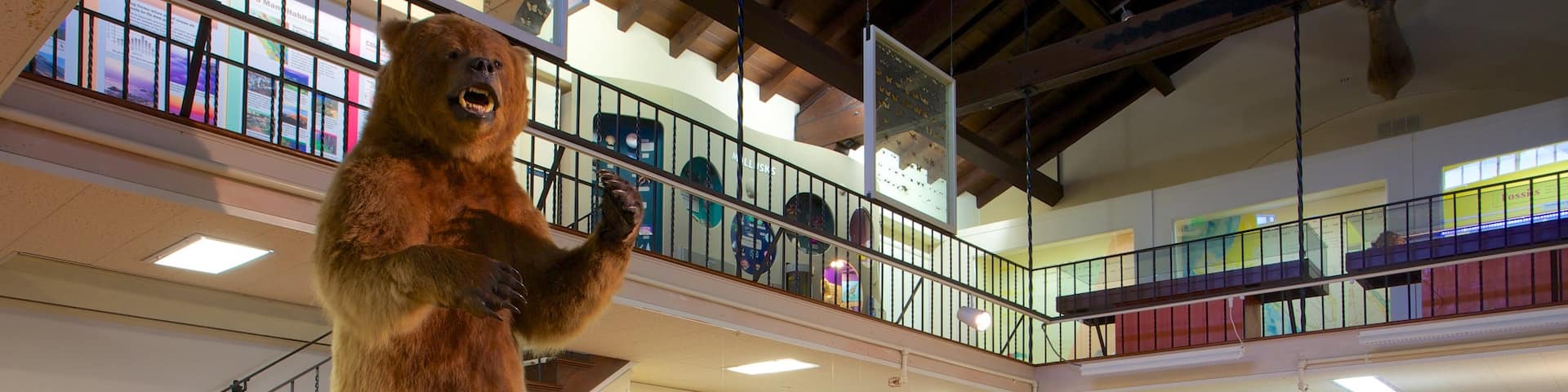 Pacific Grove Museum of Natural History mostrando vistas interiores