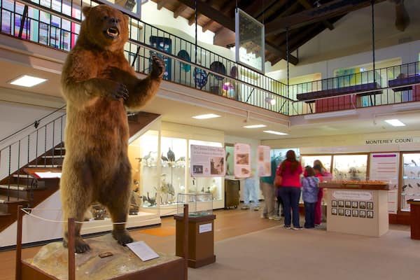 Pacific Grove Museum of Natural History welches beinhaltet Innenansichten