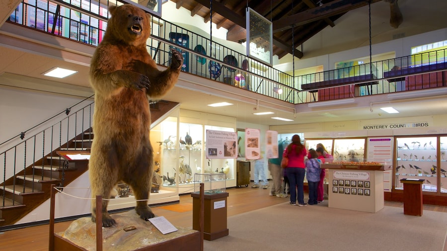 Pacific Grove Museum of Natural History mostrando vistas interiores