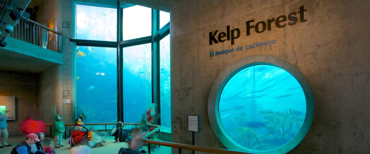 Monterey Bay Aquarium which includes interior views and marine life