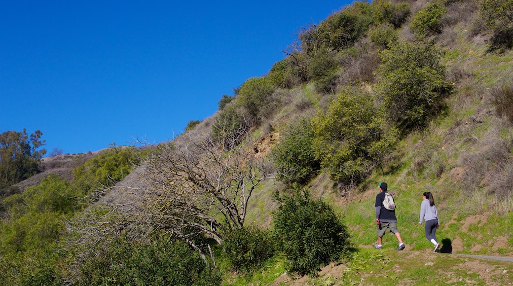 San Jose - Silicon Valley which includes landscape views, tranquil scenes and hiking or walking