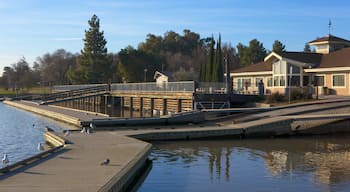 Fremont Central Park inclusief een park en een meer of poel