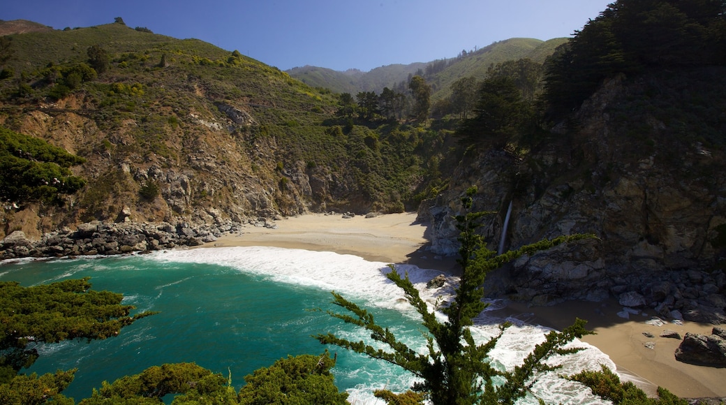 Pfeiffer Big Sur State Park welches beinhaltet allgemeine Küstenansicht, Landschaften und Strand