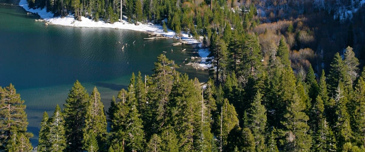 Lago Tahoe mostrando vistas de paisajes, escenas forestales y un lago o abrevadero
