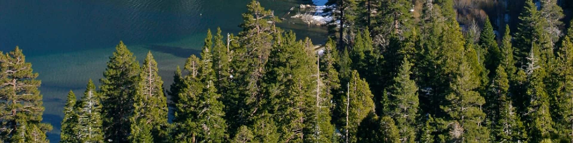 Lake Tahoe which includes landscape views, forests and a lake or waterhole