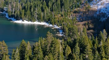 Lake Tahoe che include foresta, vista del paesaggio e lago o sorgente d\'acqua