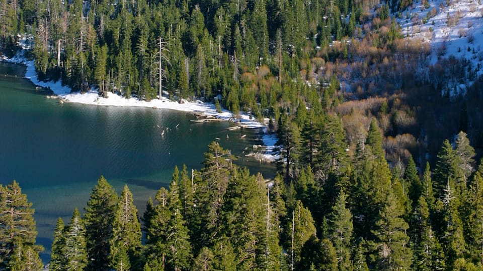 Lake Tahoe che include foresta, vista del paesaggio e lago o sorgente d\'acqua
