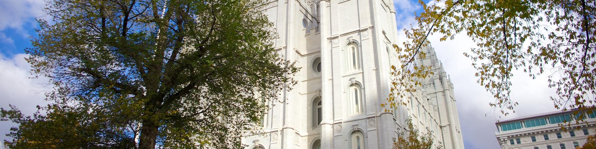 Salt Lake City featuring a city, a church or cathedral and heritage architecture