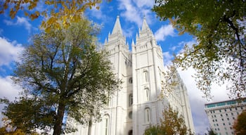 Salt Lake City which includes a church or cathedral, a city and heritage architecture