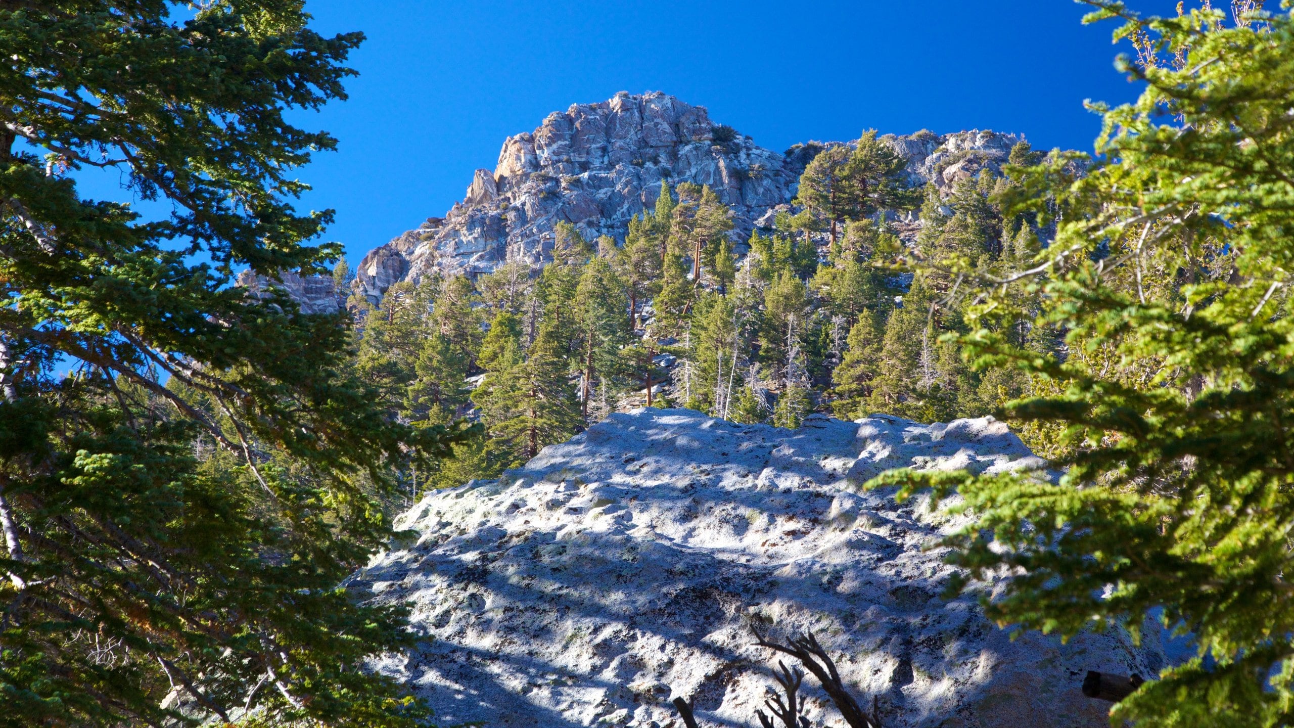 Palm Springs Travel Guide Best of Palm Springs, California Travel 2024