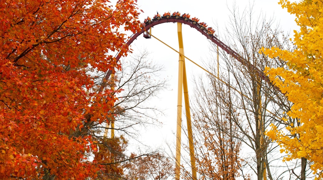 Cincinnati showing autumn leaves and rides