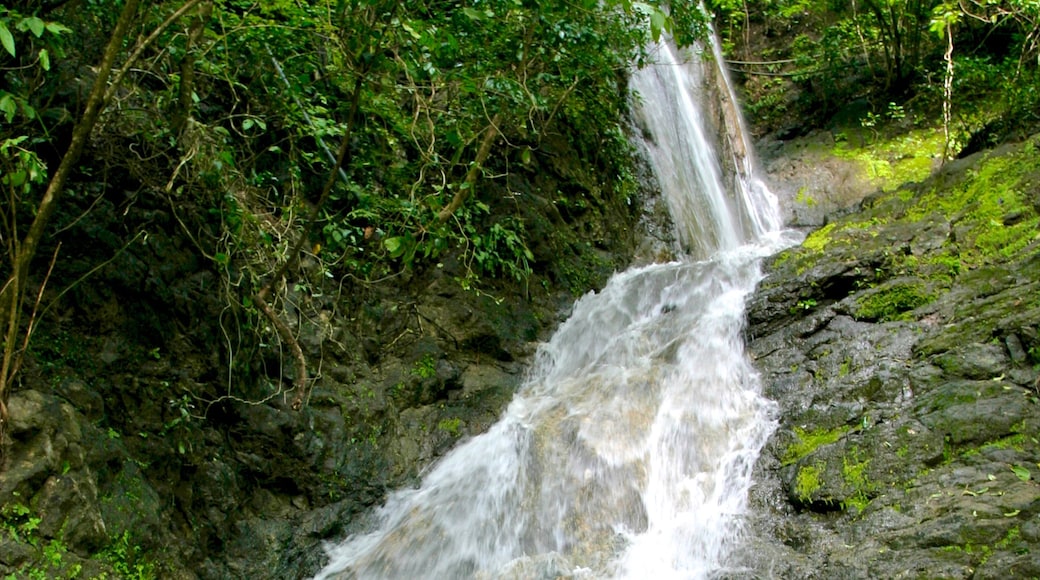 Costa Rica showing a waterfall