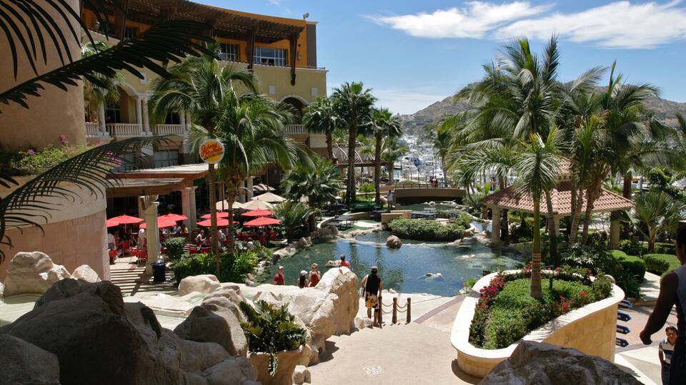 Cabo San Lucas showing tropical scenes, a city and a park