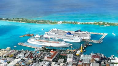 Nasáu mostrando crucero, una localidad costera y una bahía o un puerto