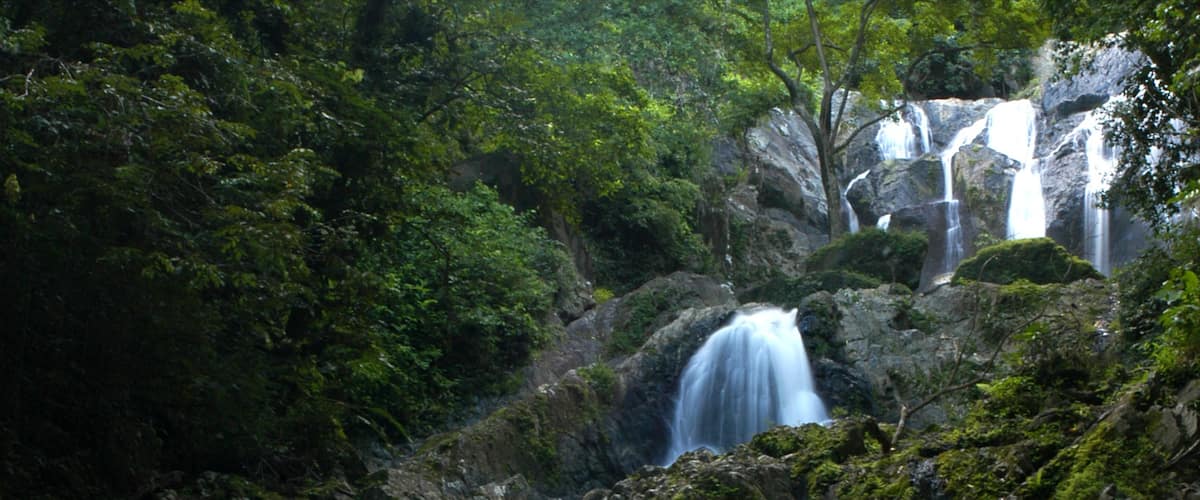 Trinidad que incluye bosques y una cascada
