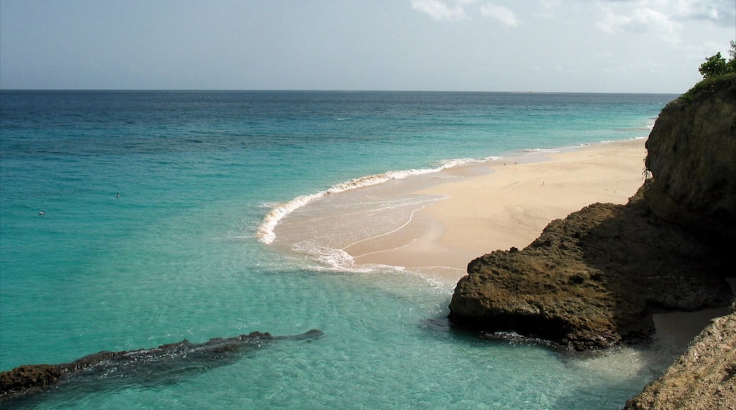 Anguilla som visar landskap, en strand och tropisk natur